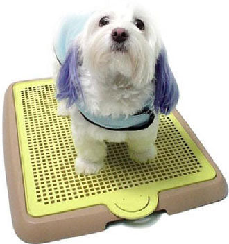 Yogi Pee Tray Toilet Small