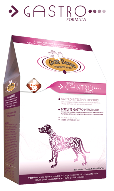 Oven-Baked Tradition Gastrointestinal Dog Biscuits